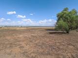 24 Griffin Road - Photo 35