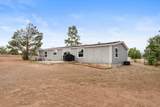98 Mustang Road - Photo 21