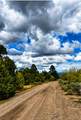 22 Magpie Road - Photo 3