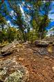 22 Magpie Road - Photo 30