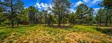22 Magpie Road - Photo 46