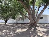 95 Pete Chavez Road - Photo 3