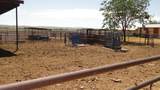  Carrasco Farm Lane Road - Photo 10