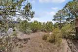 13 Calle Del Pinon Road - Photo 33