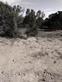 45 Holli Loop - Photo 19