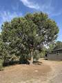 45 Holli Loop - Photo 4