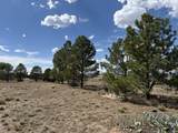 10 Gloria Lane - Photo 2
