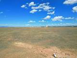 91 Cattle Loop - Photo 17