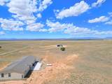 91 Cattle Loop - Photo 19