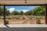 99 Molina Road - Photo 17