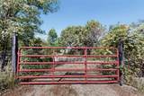 37 Darby Drive - Photo 43