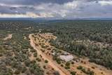 780 Red Bluff Road - Photo 8