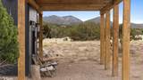 203 Camino Cerro Chato - Photo 39
