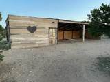 203 Camino Cerro Chato - Photo 60
