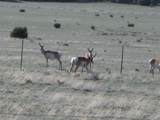 519 Highway 603 - Photo 89