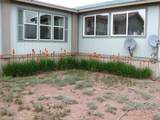 519 Highway 603 - Photo 93
