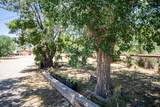 604 Ortega Road - Photo 44