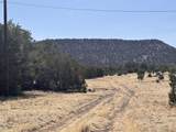 233 Turquoise Trail - Photo 32