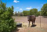 185 La Entrada Road - Photo 44
