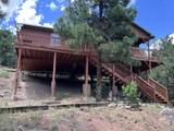 1691 Ponderosa Drive - Photo 46