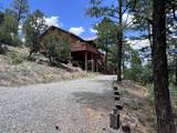 1691 Ponderosa Drive - Photo 47