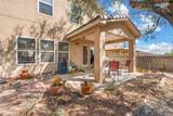 5040 Mira Vista Drive - Photo 17