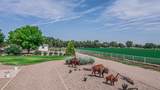 40 La Bajada Road - Photo 46