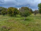 29224 U.S. Highway 70 - Photo 13