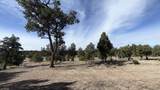 47 Pinewood Circle - Photo 81