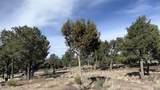 47 Pinewood Circle - Photo 82