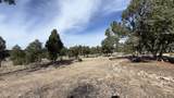 47 Pinewood Circle - Photo 83