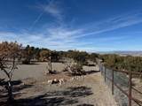 41 La Puerta Trail - Photo 80