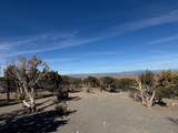 41 La Puerta Trail - Photo 83