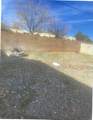 1635 Corte Del Sol - Photo 13
