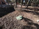 33 Carp Road - Photo 42
