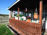 519 Highway 603 - Photo 68