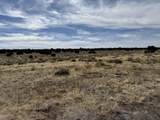 519 Highway 603 - Photo 73