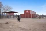 25 Arroyito - Photo 53