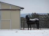 12 Elk Road - Photo 42