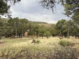 9 Cochise Drive - Photo 59