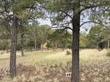 9 Cochise Drive - Photo 63