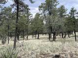 9 Cochise Drive - Photo 64