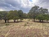 9 Cochise Drive - Photo 65