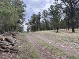 9 Cochise Drive - Photo 67