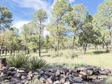 9 Cochise Drive - Photo 68