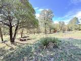 9 Cochise Drive - Photo 72