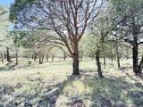 9 Cochise Drive - Photo 73