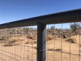 890 Idalia Road - Photo 4