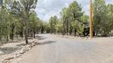 21 Branding Iron Road - Photo 47