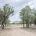 21 Branding Iron Road - Photo 51